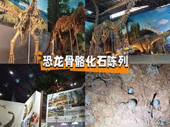 -中国西峡恐龙遗迹园
