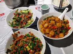 -壹盏灯(惠农店)