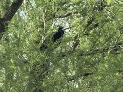 -北京麋鹿生态实验中心