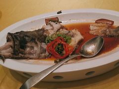 -绿岛国际酒店·海鲜酒楼(八七路店)