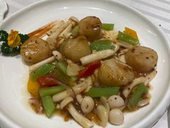 -蝶园·装修中(BFC外滩金融中心店)