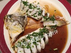 -圆苑(静安寺店)