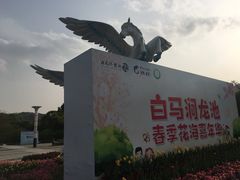 -白马涧龙池景区