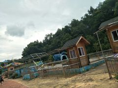 -田野绿世界
