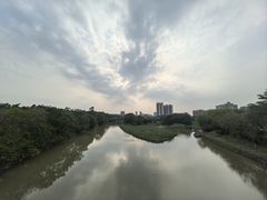-广东花都湖国家湿地公园