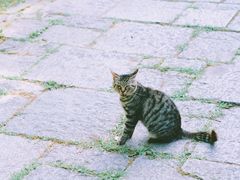 -上海植物园·停车场