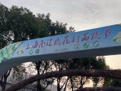 -南汇桃花村