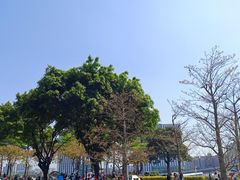 -二沙岛艺术公园
