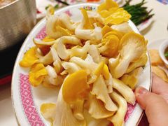 鸡油菌-燃计沙茶皇·香港沙茶火锅(人广旗舰店)