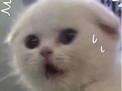 -AdD全日制餐厅(中谷花园酒店)