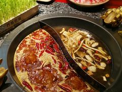 -蜀大侠火锅(四川北路店)