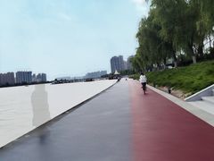 -渭滨公园