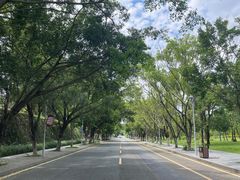 -东莞植物园