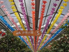 -南宫五洲植物乐园