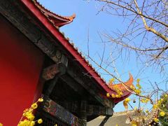 -南岳明心寺