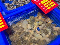 -驻海渔市(置信店)