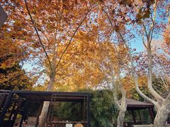 -春晖园度假酒店温泉