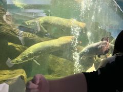 -泉州海丝野生动物世界