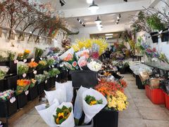 -溪岸路花鸟市场