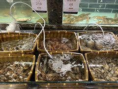 -甄御•海鲜新青岛菜(麦岛店)