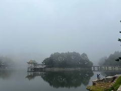 -庐山风景区花径公园