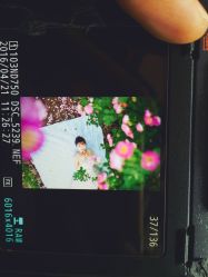 -色色婚纱摄影(好评优选店)