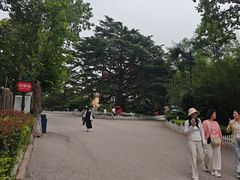 -青岛德国总督楼旧址博物馆