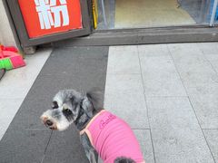 -喻味豌杂牛筋面(融创滨江壹号观麓台店)