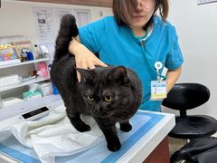 -美联众合动物医院·24h转诊中心