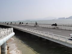 -演武大桥观景平台