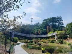 -东莞植物园