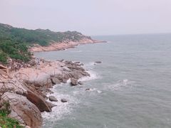 -广东惠东海龟国家级自然保护区