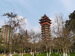 -塔子山公园