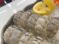 瀨尿蝦刺身-嘉升大排档(番禺总店)