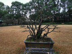 -丁香花园申粤轩·宴会厅