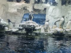 -华夏文旅西安度假区