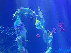 -华夏文旅海洋公园