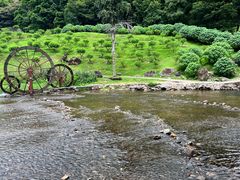 -广州市石门国家森林公园