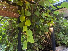 -后海16号·北京私房菜