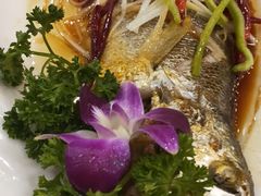 -青瓦餐厅·生鱼片·韩园烤肉(西塔店)