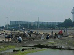 -日照灯塔风景区