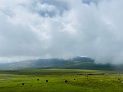 -日月山景区
