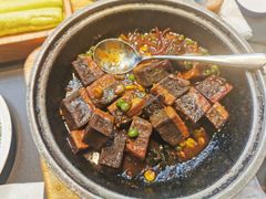 -三强鸽子(中原路店)