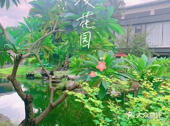 堪比去左苏杭的感觉,小溪流水 「松茸海鲜茶壶汤」建议