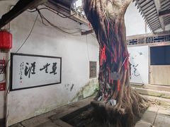 -尧坝古镇