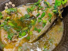 -马村鱼头