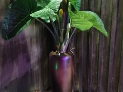 -观唐足道SPA养生会馆(南湖店)