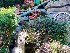 -南宫五洲植物乐园