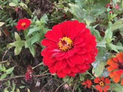 -济南国际园博园