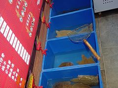 -状元甲·湖北甲鱼大王(汉口火车站店)